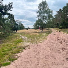 23-09-18 13-52-38 7048